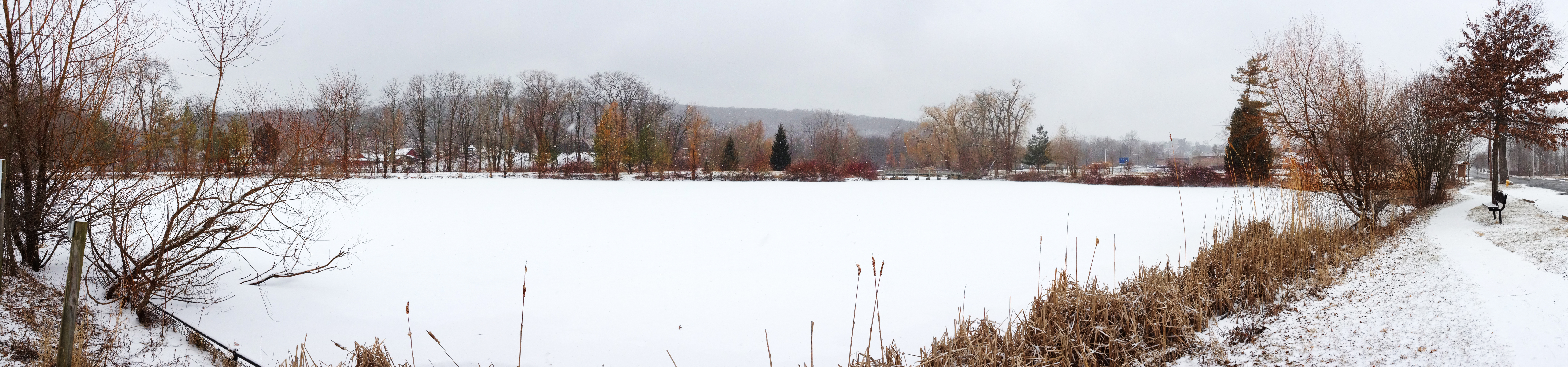 Snow Starts To Fall