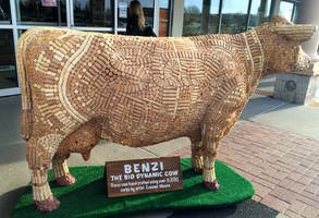 Benzi - Crafted using 3,200 corks