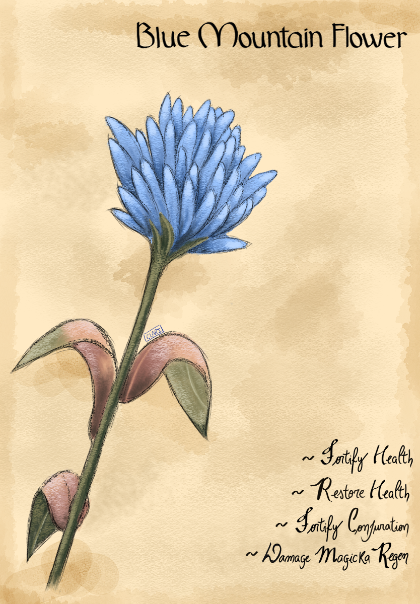 Blue Mountain Flower By Claaari On