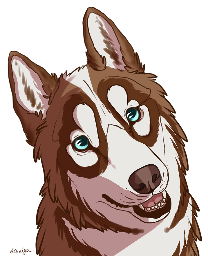 Husky Deviantart Husky by Mr-SKID on DeviantArt