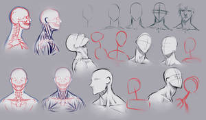 Drawing necks