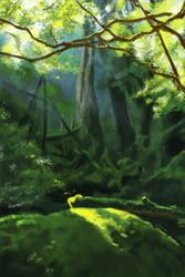 Forest Study