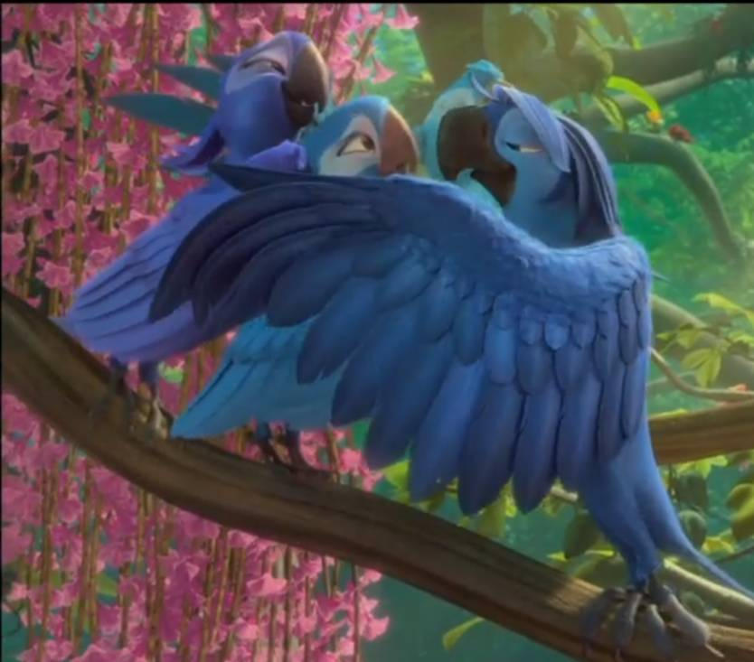 rio 2 - Blue ladies Macaw and Roberto by giohollowchannel on DeviantArt