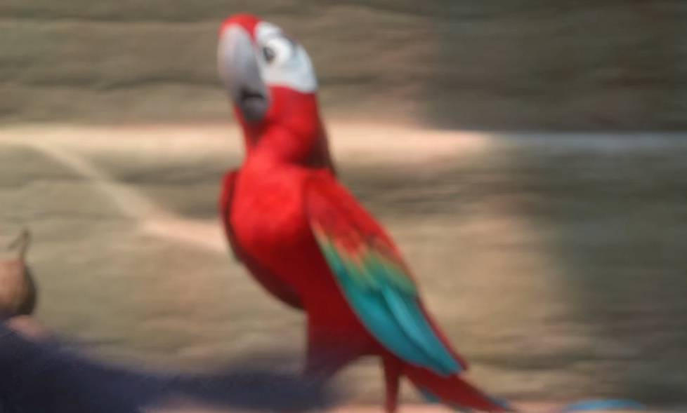 Rio 2 Red Macaw - First loses by giohollowchannel on DeviantArt