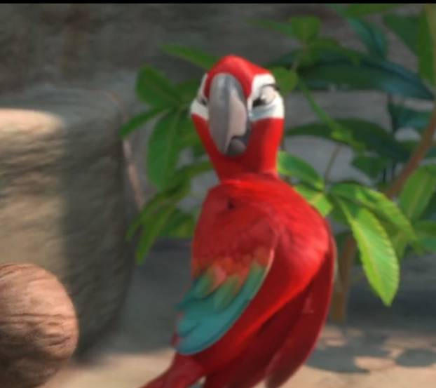 Rio 2 Red macaw big chest Screenshot #6 by giohollowchannel on DeviantArt