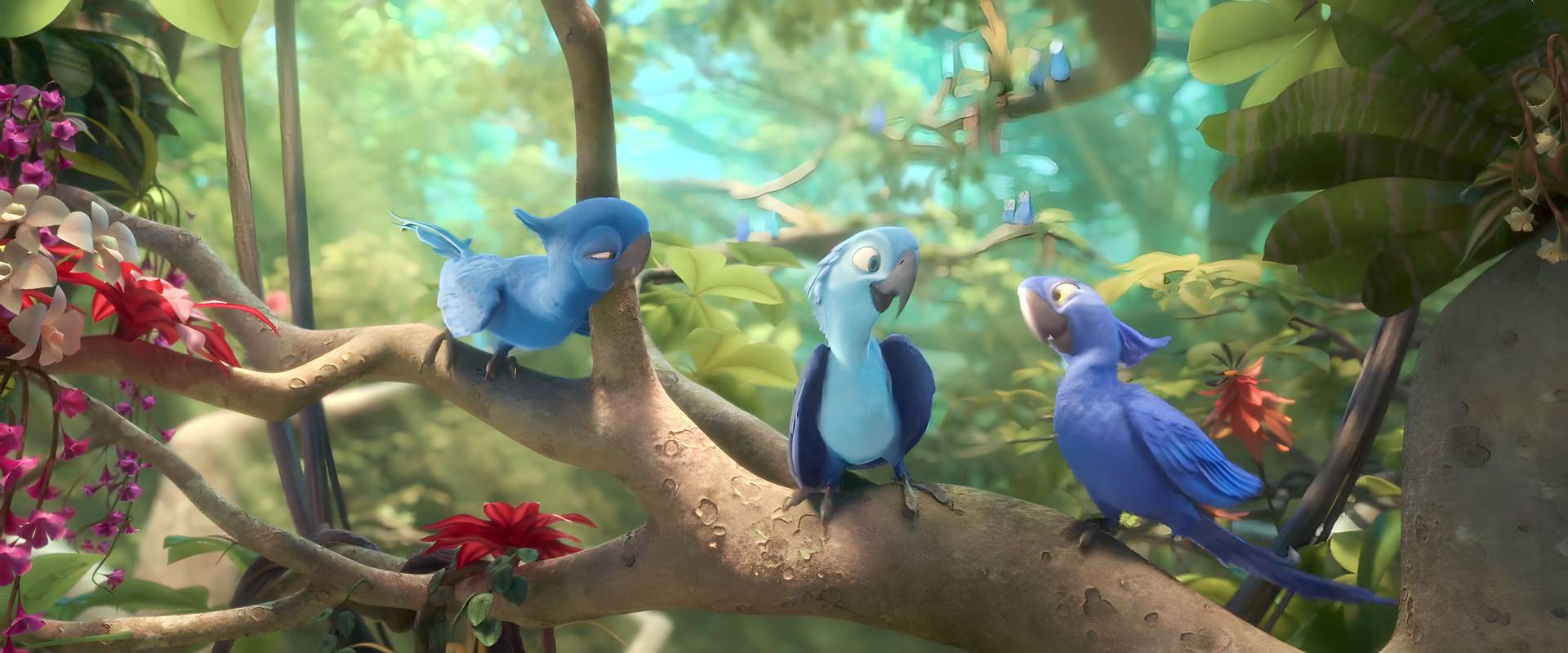 Remind 120 - Rio 2 Beautiful Macaws by giohollowchannel on DeviantArt