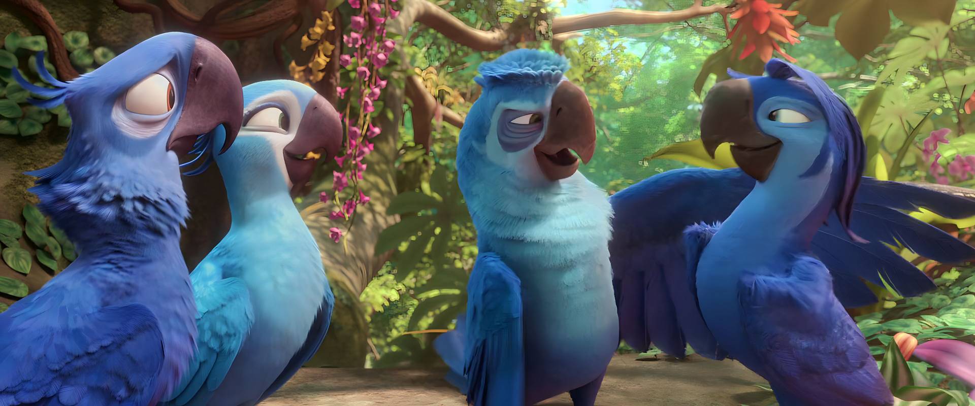 Rio 2 Roberto