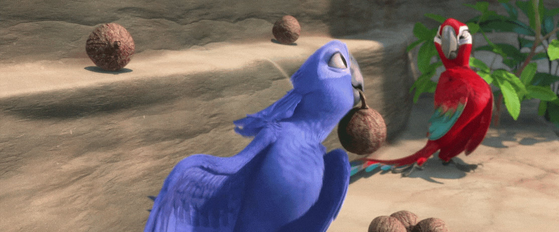 Rio 2 Gif P110: Blue Macaw taunt Red Macaw by giohollowchannel on ...