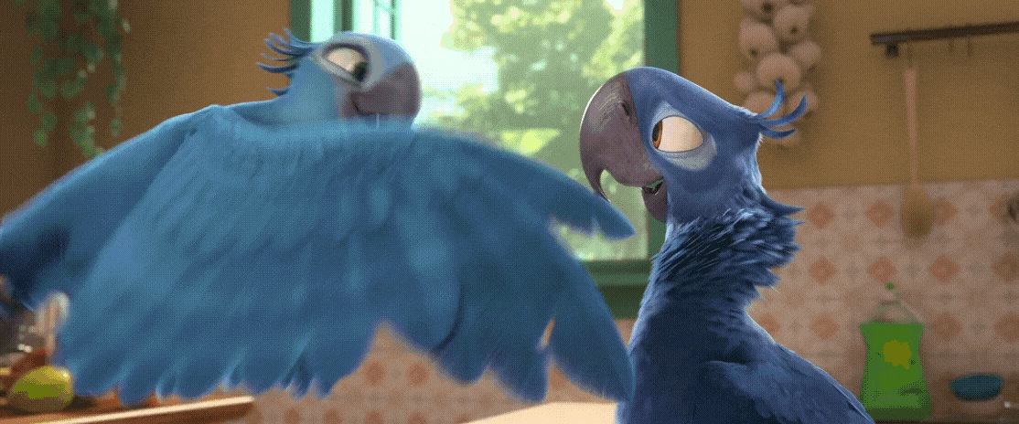 Rio 2 Gif P146: Blu and Jewel by giohollowchannel on DeviantArt