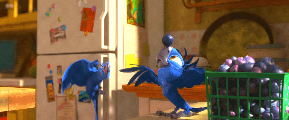 Rio 2 Gif P170: Blu and Tiago by giohollowchannel on DeviantArt