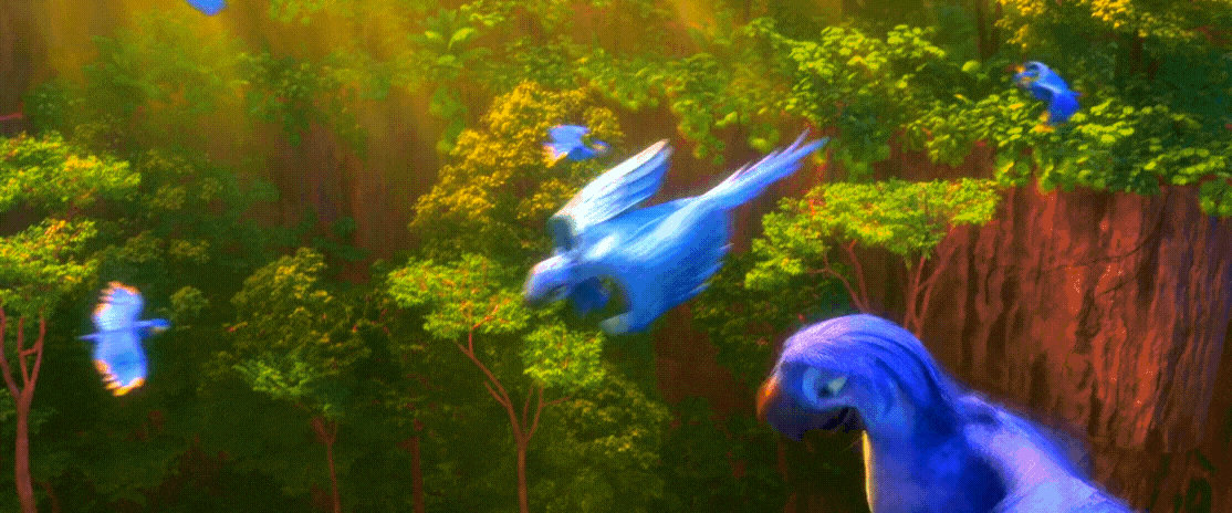 Rio 2 Gif P260: Roberto give flowers to Jewel head by giohollowchannel ...
