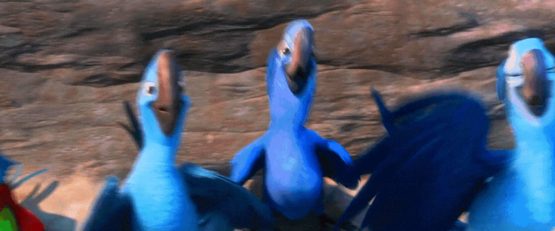 Rio 2 Gif P302: Disappointed 2 Red Macaws Side by giohollowchannel on ...