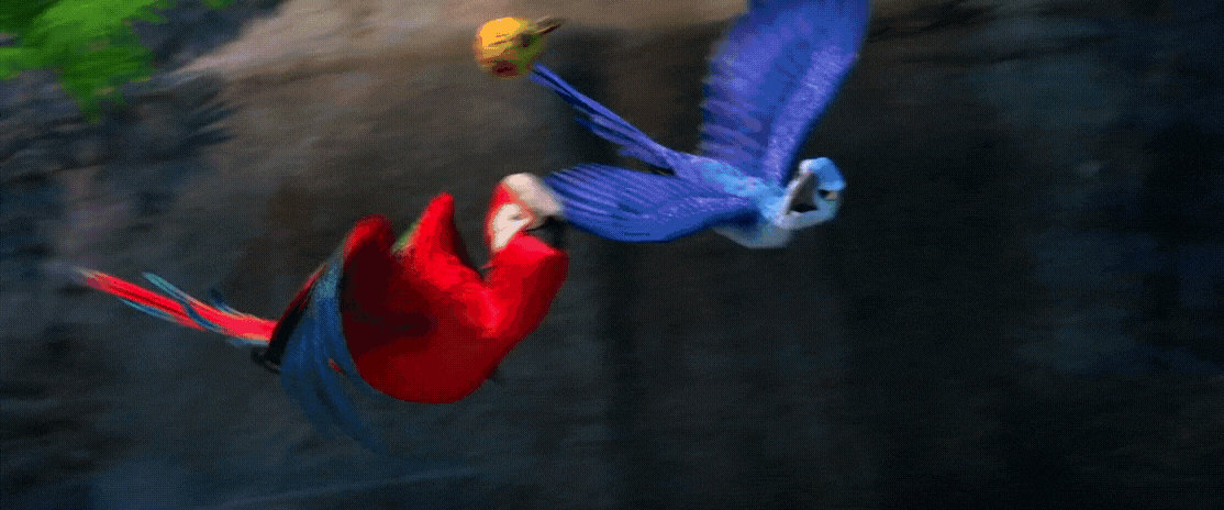 Rio 2 Gif P314: Red Macaw steal the ball by giohollowchannel on DeviantArt