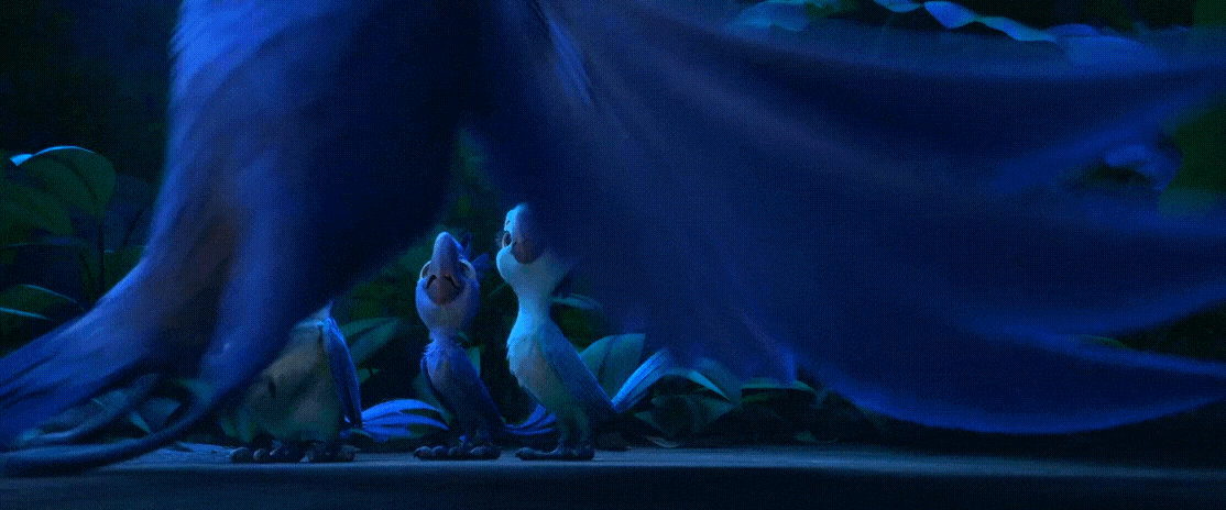 Rio 2 Gif P337: Bia Carla Tiago and Blu by giohollowchannel on DeviantArt