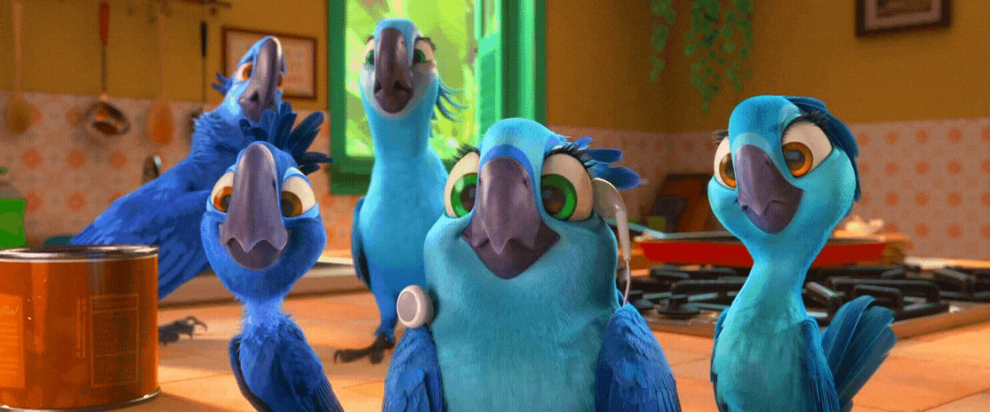 RIO 2 Gif P351: Blu Jewel Bia Carla and Tiago by giohollowchannel on ...