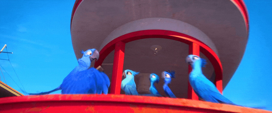 Rio 2 Gif P385: Blu Jewel Bia Carla and Tiago by giohollowchannel on ...