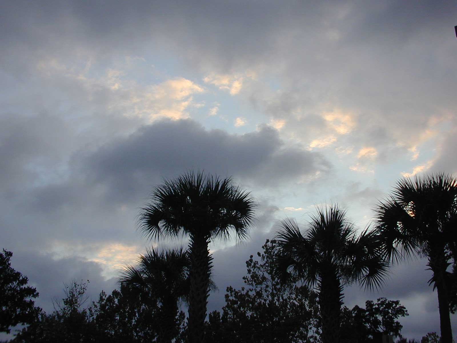 Florida Evening Sky