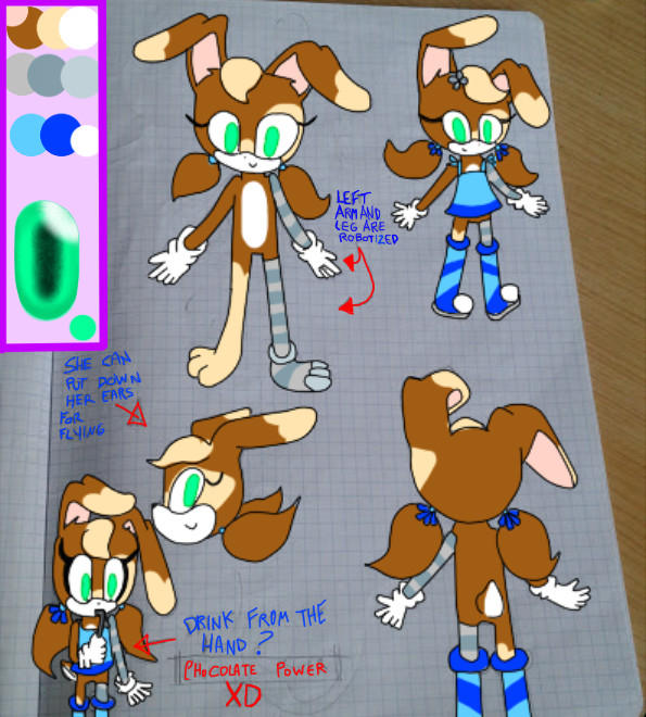 Official reference: Choco the rabbit!!! by RebyTheLion on DeviantArt