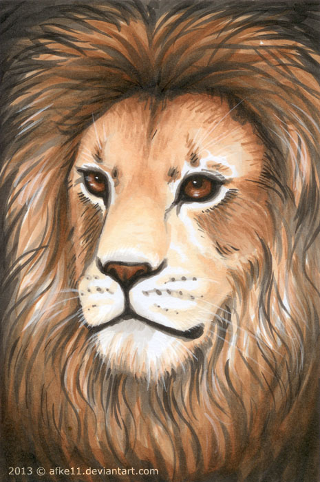 Portrait of a Lion