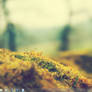 Current Desktop