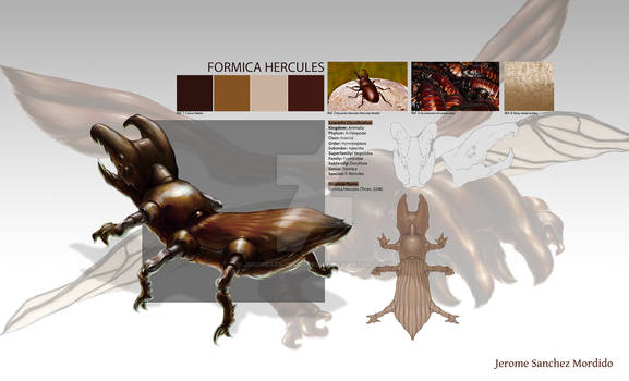 [A]Formica Hercules 2000px
