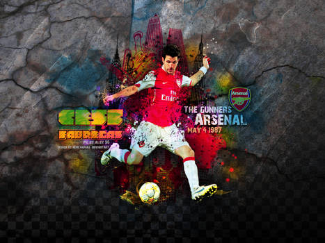 Cesc Fabregas 'Arsenal'