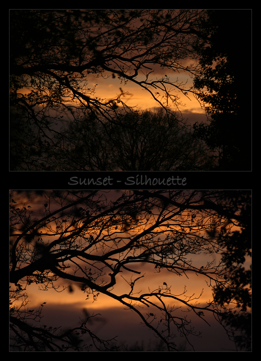 Sunset - Silhouette