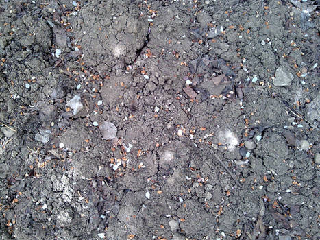 GROUND TEXTURE