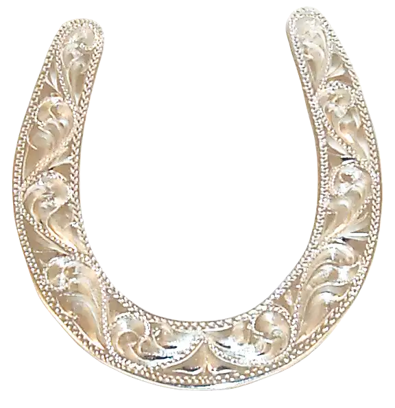 GOLD AND SiLVER HORSESHOE By TracyLBurris On DeviantArt gold-and-silver-horseshoe-by-tracylburris-on-deviantart