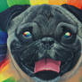 Psychedelic Pug