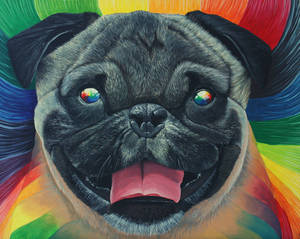 Psychedelic Pug