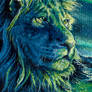 Lion in Aurora