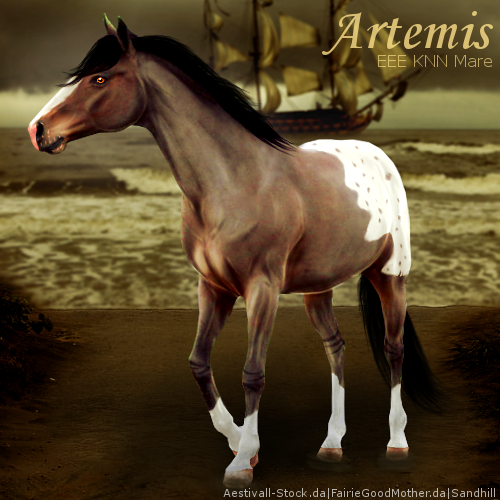 Artemis HEE