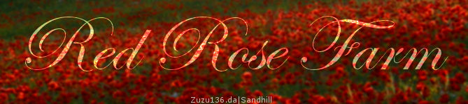 Red Rose Banner HEE by MClaireB on DeviantArt