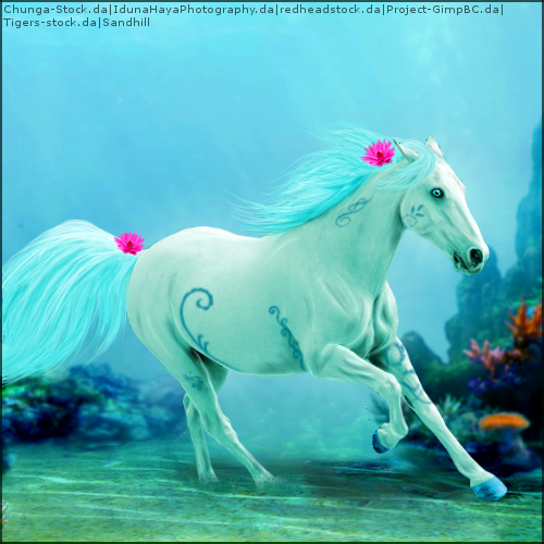 Laguna Horse Art HEE by MClaireB