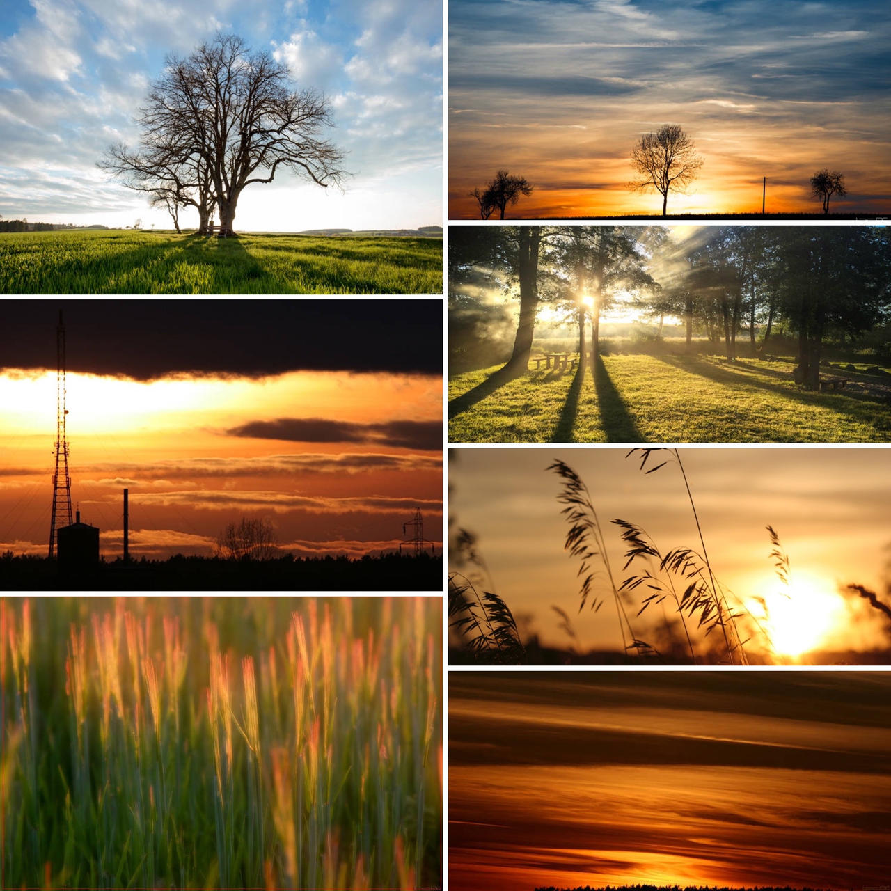 Random collage by bdx on DeviantArt