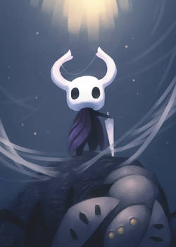 Hollow Knight VICTORY