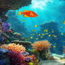 Nature Ocean Undersea World Wallpapers 010