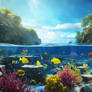 Nature Ocean Undersea World Wallpapers 011