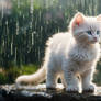 Cute Kitten Wallpapers HD Cats 027