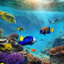 Nature Ocean Undersea World Wallpapers 035