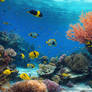 Nature Ocean Undersea World Wallpapers 038