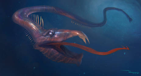 Ocean creature