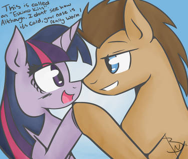 MLP: SIM Twilight Sparkle and The Doctor