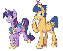 Twilight Sparkle and Flash Sentry