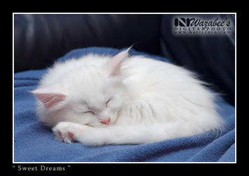 Sweet Dreams by wazabees