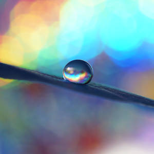 rainbows by KittenKayleigh rainbows by KittenKayleigh