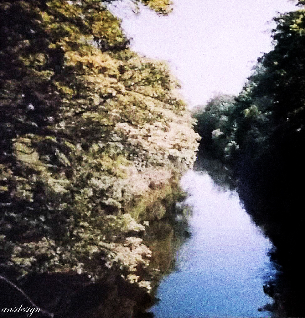 The stream in color...