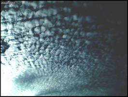 Clouds of fleece...