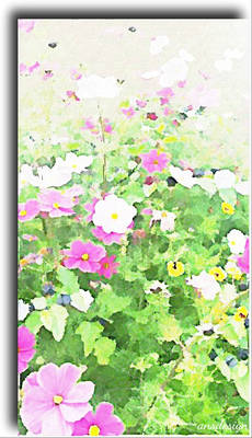 Wildflowers...